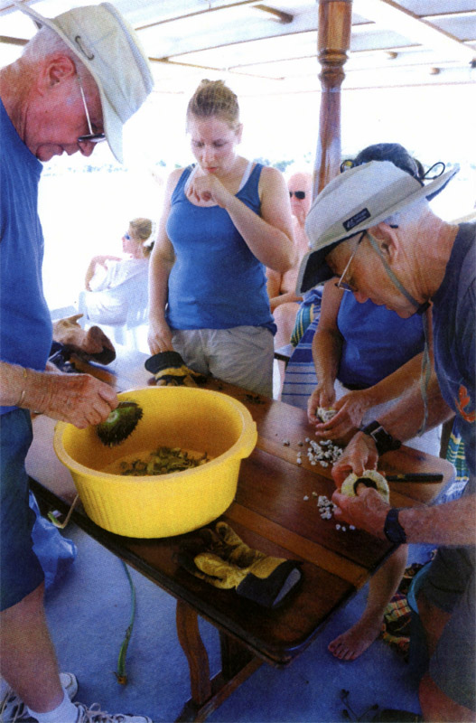 Don Patrick Joyce harvesting gelatinous seed Small